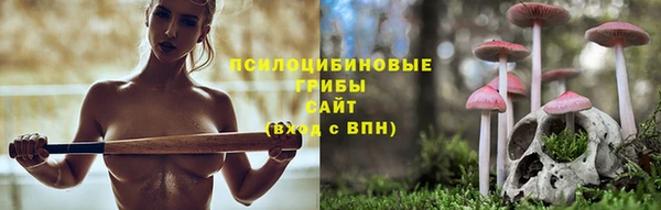 mix Алексин