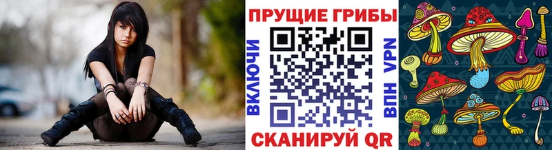 Галлюциногенные грибы Psilocybine cubensis Кореновск